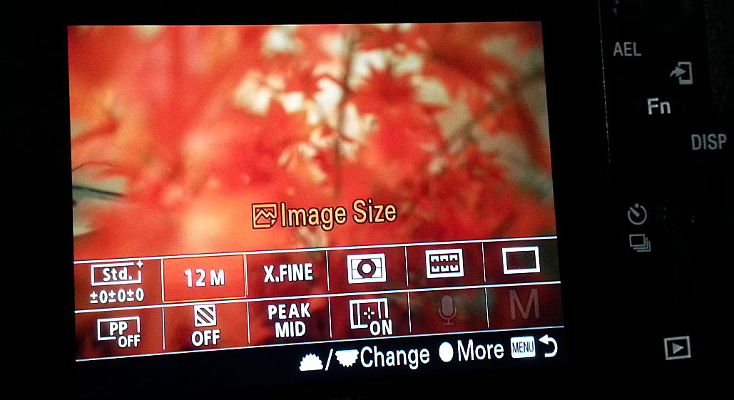 Sony A7s Function Menu